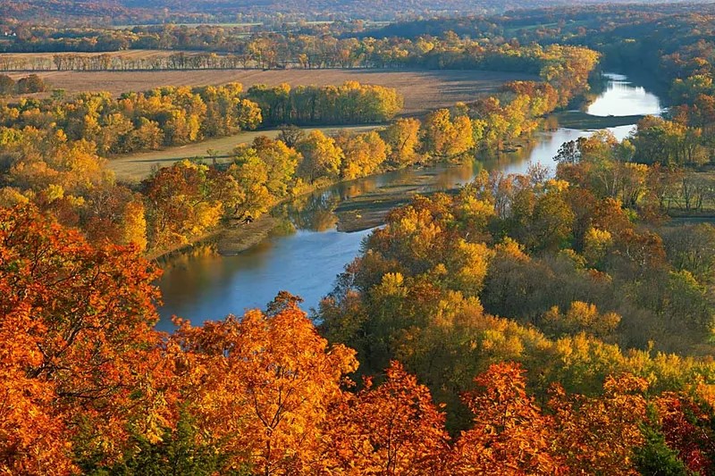 Travel Occupational Therapy Job in Sacramento, CA