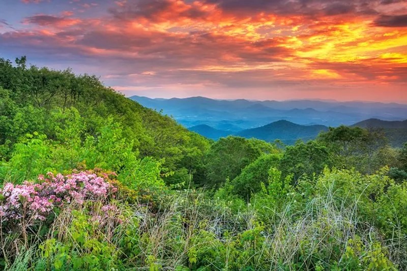 Travel Occupational Therapy Job in Sacramento, CA