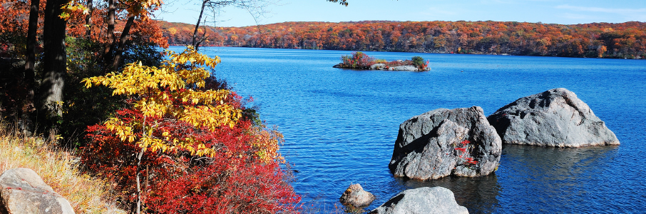 RN Long Term Care / SNF job in Spring Grove, Minnesota – Travel Healthcare Hero Image