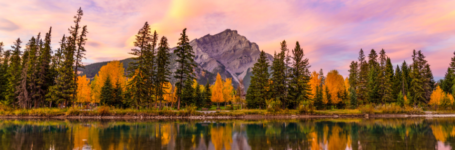 LPN job in Troy, – Travel Healthcare Hero Image