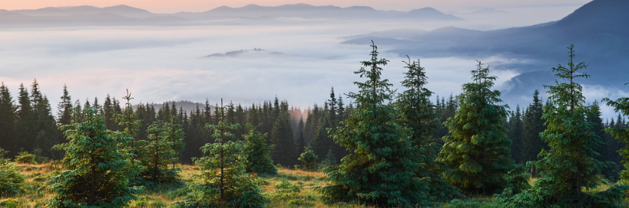 Allied Occupational Therapy job in Portland, Oregon – Travel Healthcare Hero Image