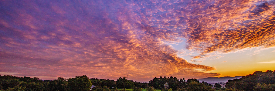 RN Med Surg job in Urbana, Illinois – Travel Healthcare Hero Image