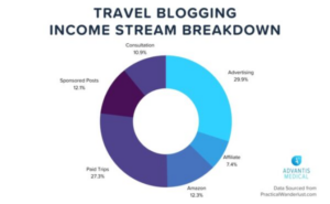 Why Travel Nurse Blogging Income Matters