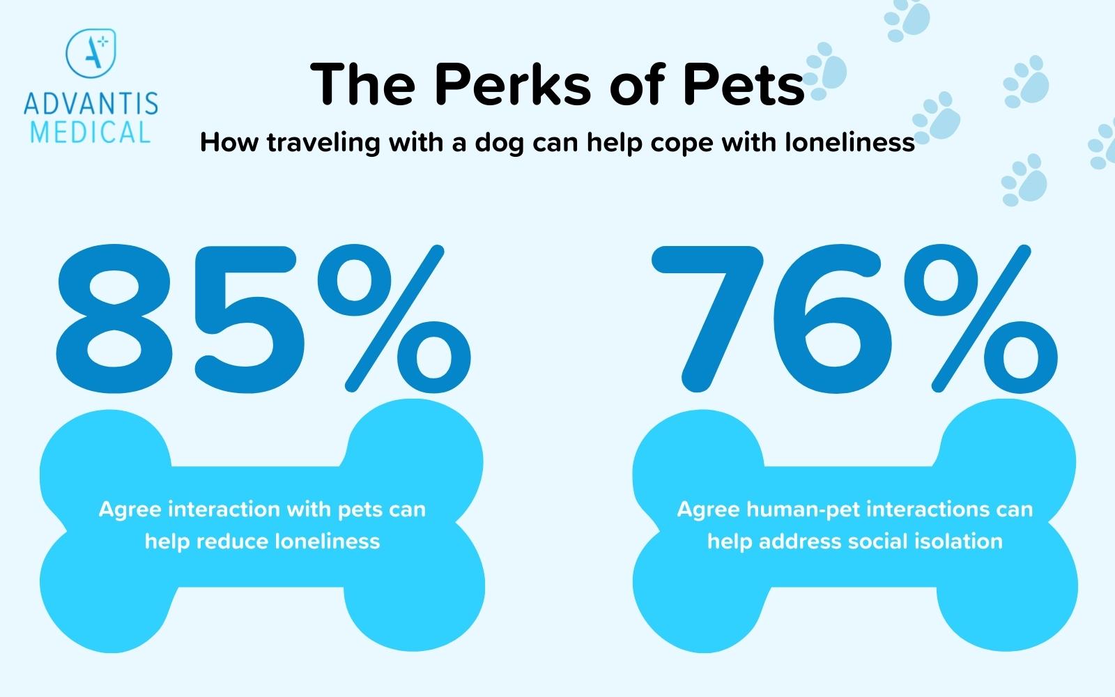 Perks and statistics for travel nursing with a dog.